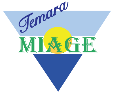Logo MIAGE